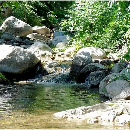 En Cevennes 